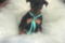 Yustel Elisey