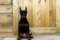 Energiya Lyubvi Roberta