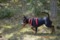 Lola De Los Diablillos De Aky