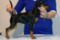 Gordaya Stat Time Of Love