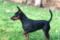 Del Foionco Isabella
