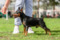 Golden Anik's Zharkiy Macho