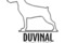 Duvinal